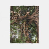 Rustikaler alter Olivenbaum Fleecedecke (Vorderseite)