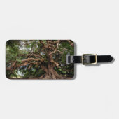 Rustikaler alter Olivenbaum Gepäckanhänger (Vorderseite horizontal)