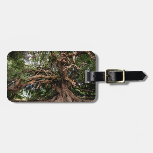 Rustikaler alter Olivenbaum Gepäckanhänger (Vorderseite horizontal)