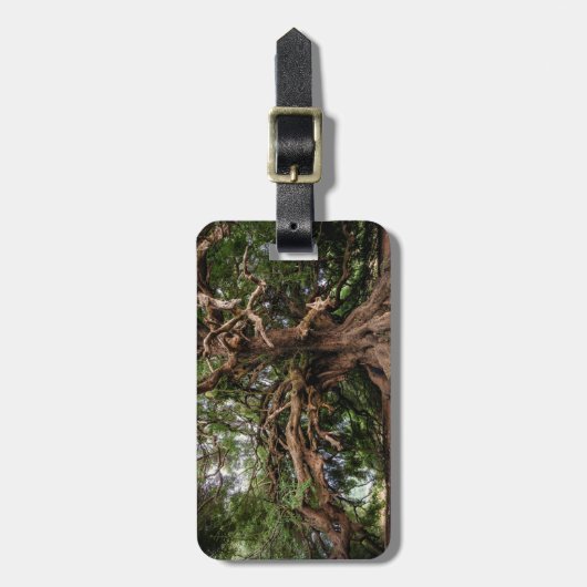 Rustikaler alter Olivenbaum Gepäckanhänger (Vorderseite vertikal)