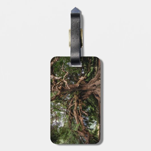 Rustikaler alter Olivenbaum Gepäckanhänger (Rückseite vertikal)