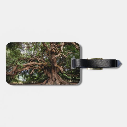 Rustikaler alter Olivenbaum Gepäckanhänger (Rückseite horizontal)