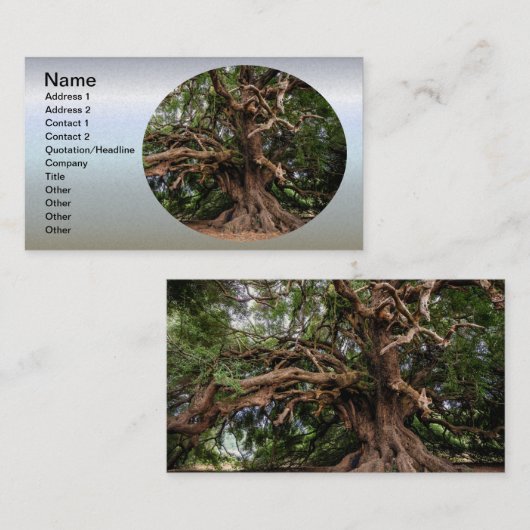 Rustikaler alter Olivenbaum Visitenkarte (Vorne/Hinten)