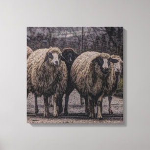 Rustikaler Bauernhof Leinwanddruck