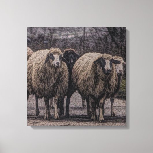 Rustikaler Bauernhof Leinwanddruck (Vorderseite)