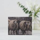 Rustikaler Bauernhof Postkarte (Stehend Vorderseite)