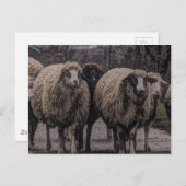 Rustikaler Bauernhof Postkarte (Vorne/Hinten)