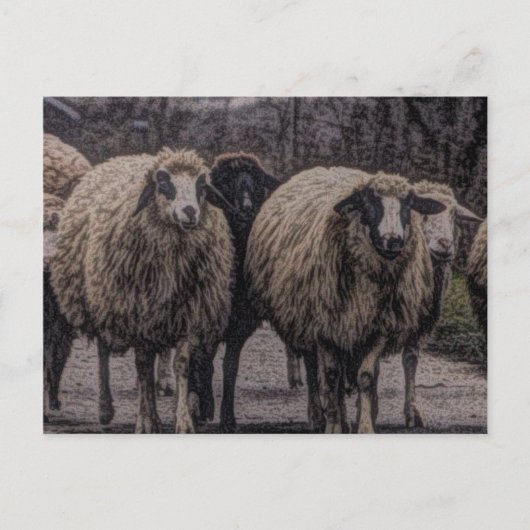 Rustikaler Bauernhof Postkarte (Vorderseite)