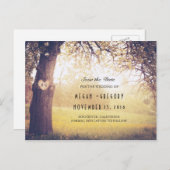 Rustikaler Baum und Herz Save the Date Ankündigungspostkarte (Vorne/Hinten)