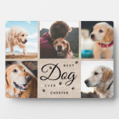 Rustikaler Bester Hund je Memorial Modern Foto Col Fotoplatte (Vorderseite)