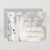 Rustikaler Birkenbaum Winterschnee Rett Postkarte (Vorne/Hinten)