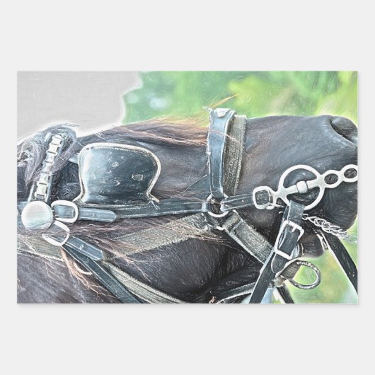 Rustikaler brauner Western Geschenkpapier Set (Vorderseite 3)