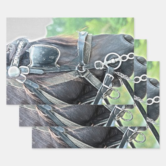 Rustikaler brauner Western Geschenkpapier Set (Set)