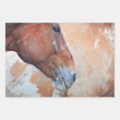 Rustikaler brauner Western Geschenkpapier Set (Vorderseite 2)