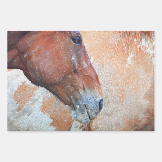 Rustikaler brauner Western Geschenkpapier Set (Vorderseite 2)