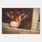 Rustikaler Braunlandwirt Geschenkpapier Set (Vorderseite 3)