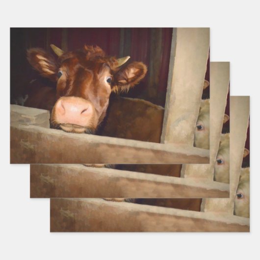 Rustikaler Braunlandwirt Geschenkpapier Set (Set)