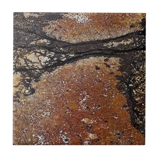 Rustikaler Charme Abstrakt Fliese (Vorderseite)