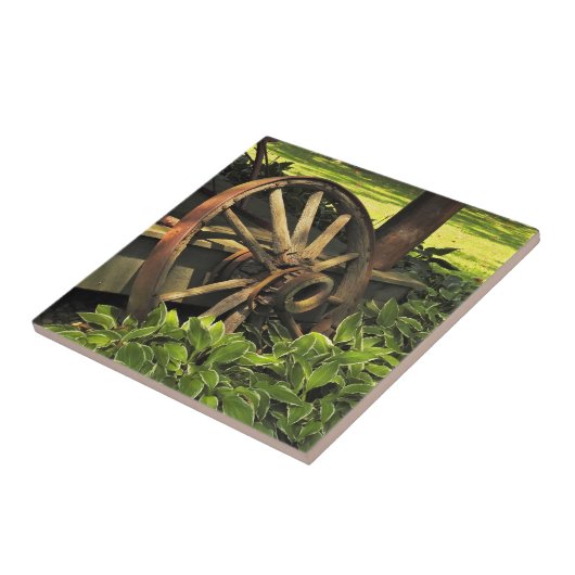 Rustikaler Charme - gewitterte Wagenradfotografie Fliese (Seite)