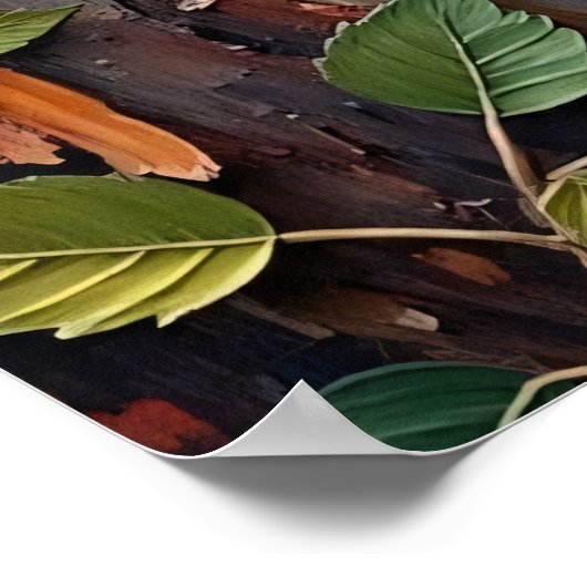 Rustikaler Charme: Raccoon in der Wildnis Poster (Ecke)