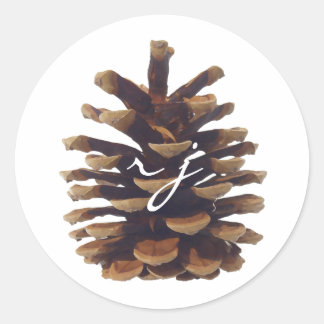 Rustikaler Chic Pine Cone Hochzeitsticker Runder Aufkleber