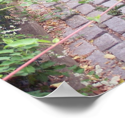 Rustikaler Cobblestone Gartenweg Poster (Ecke)