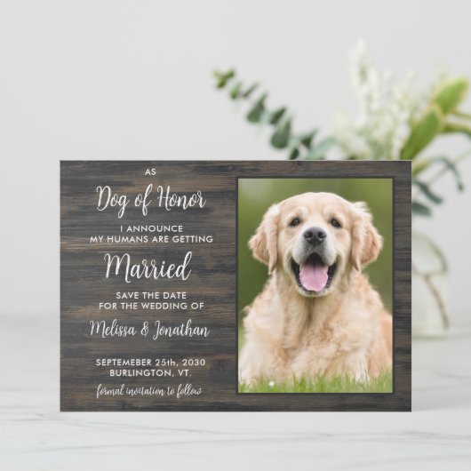 Rustikaler Ehrenhund Personalisierter Begleiter Fo Save The Date (Stehend Vorderseite)
