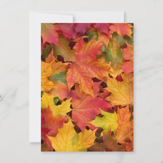 Rustikaler Fall Alte Holzhütte Erntedank Einladung (Rückseite)