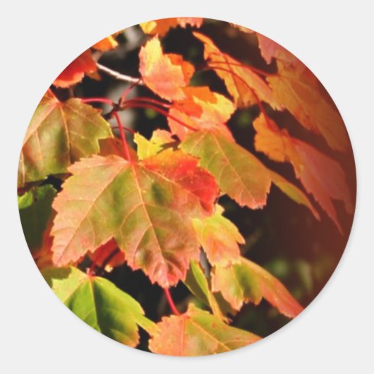 Rustikaler Fall in Liebe Hochzeitsticker für Umsch Runder Aufkleber (Vorderseite)