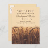 Rustikaler Fall Save the Date Postkarten mit Weize (Vorne/Hinten)