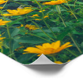 Rustikaler Garten und eine gemütliche Hütte Poster (Ecke)