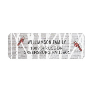 Rustikaler grauer hölzerner Winter-Birken-Baum u.