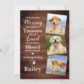 Rustikaler Heimtierverlust Personalisiert 3-Foto-H Dankeskarte (Vorderseite)