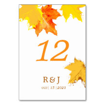 Rustikaler Herbst in Liebe Hochzeitsstimmung Tisch