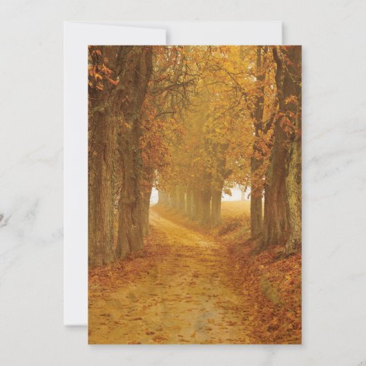 Rustikaler Herbst verlässt Mason Jar Lights Hochze Einladung (Rückseite)