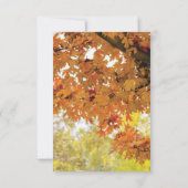Rustikaler Herbstbaum Twinkle Light Wedding RSVP Karte (Rückseite)