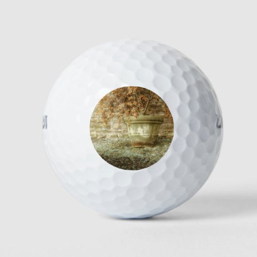 Rustikaler Herbstgarten Golfball (Vorderseite)