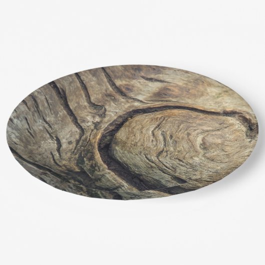 Rustikaler hölzerner Baum-Ring-WegwerfpapierTeller Pappteller (Schrägansicht)