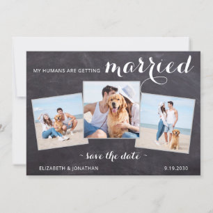 Rustikaler Hund Hochzeit Personalisiert 3 Foto Save The Date