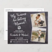 Rustikaler Hund Hochzeitbudget Save the Date Postk (Vorne/Hinten)
