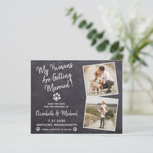 Rustikaler Hund Hochzeitbudget Save the Date Postk (Stehend Vorderseite)