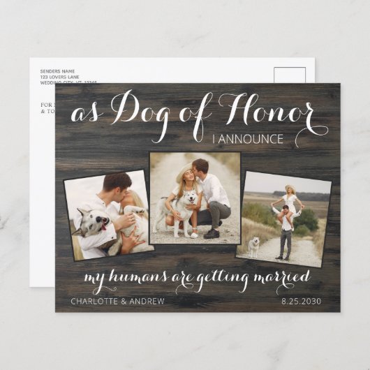 Rustikaler Hund zum Haushalt, der das Datum des QR (Vorne/Hinten)