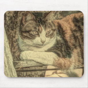 Rustikaler Landkatzenliebhaber Bauernhof Kalico Ka Mousepad