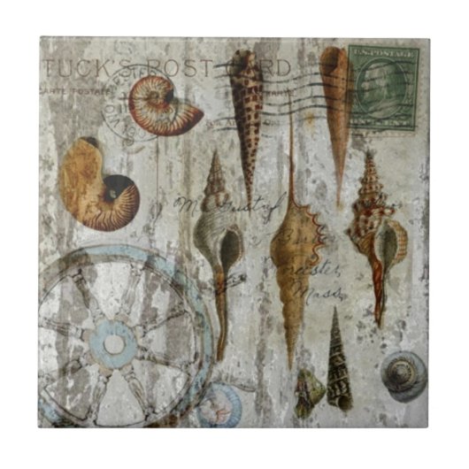 rustikaler rehabilitierter schicker Küstenseashell Fliese (Vorderseite)