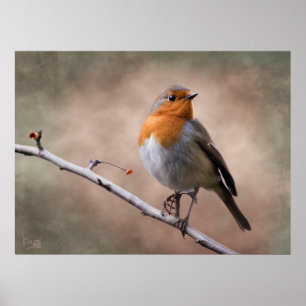 Rustikaler Rotkehlchen-Druck Poster