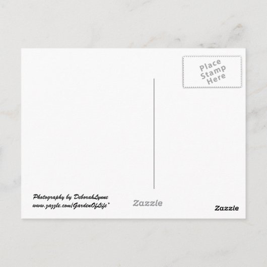 Rustikaler Schott am Strand Postkarte (Rückseite)