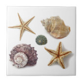 rustikaler Seesterne Fliese (Vorderseite)