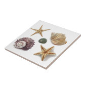 rustikaler Seesterne Fliese (Seite)