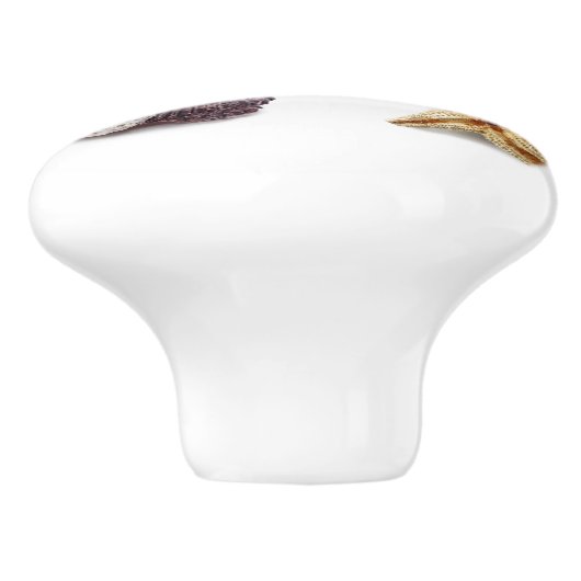 rustikaler Seesterne Keramikknauf (Seitenansicht)