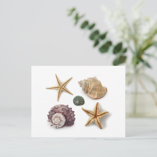 rustikaler Seesterne Postkarte (Stehend Vorderseite)